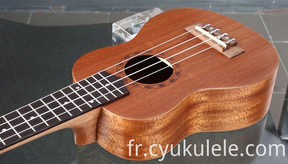 ukulele53